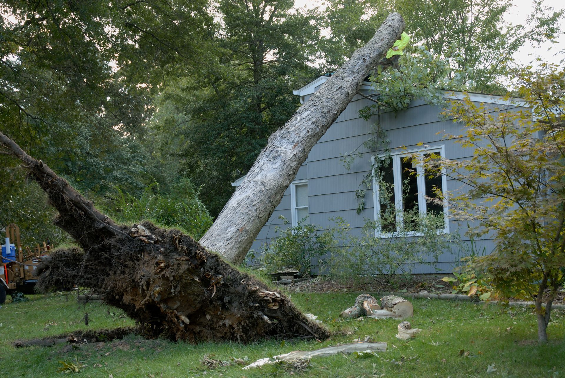 A Tree that Falls on the Side of a House | Crittenden, KY | TAG