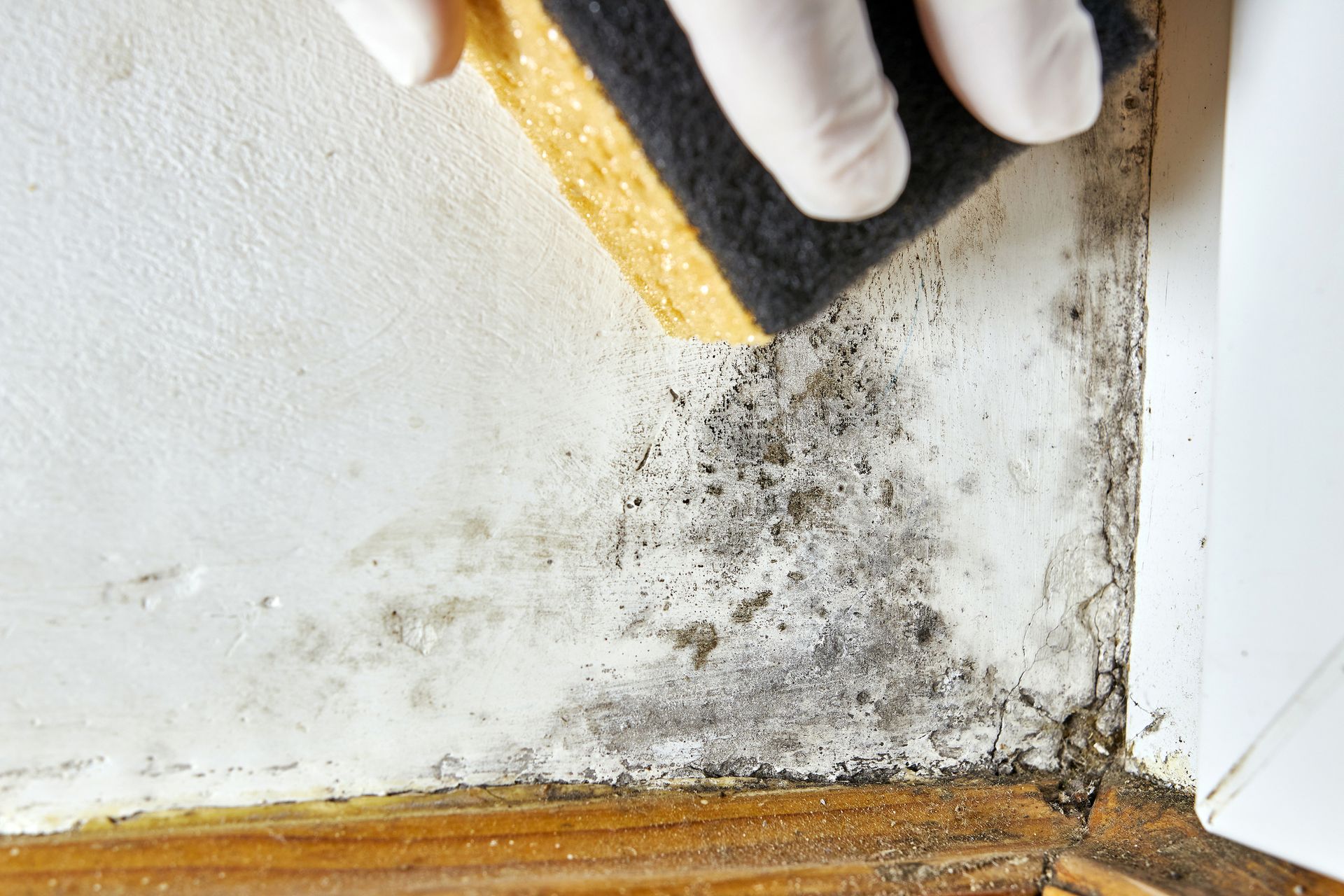 A Person is Cleaning a Wall | Crittenden, KY | TAG