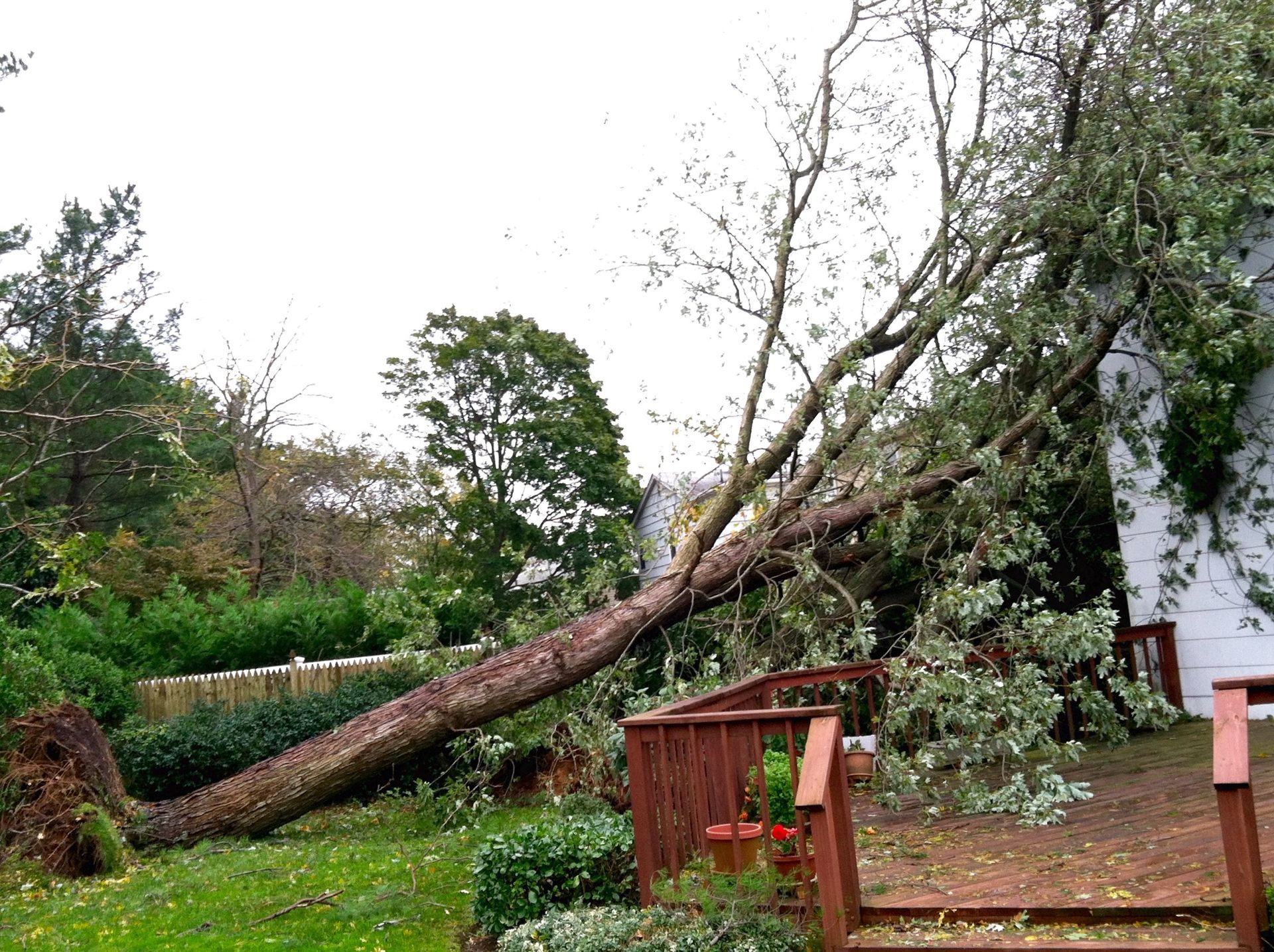 A Tree that Damaged the Deck of a House | Crittenden, KY | TAG
