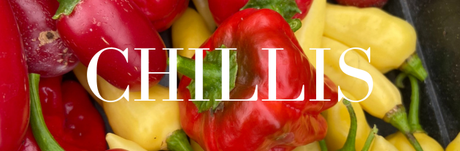 Chillis, linking to the chillis category in the store