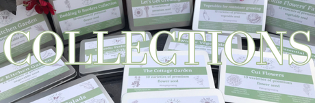 A range of seed collections by Collie Flowers, linking to their category in the store