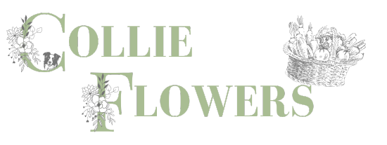 Collie Flowers logo, featuring a decorative C and F, plus a small basket of vegetables and the face of a border collie