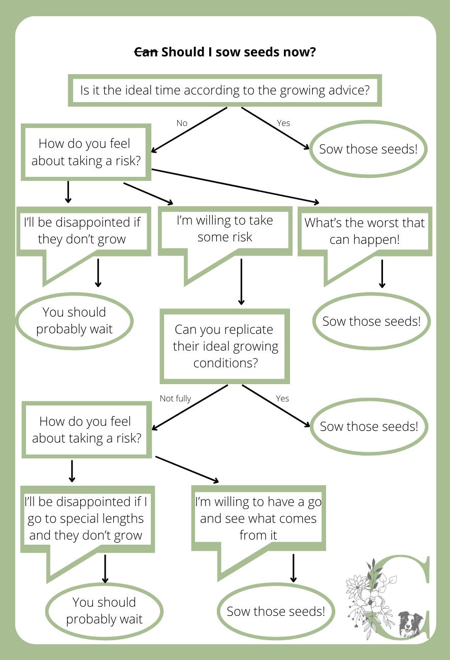 A flow chart setting out factors to consider related to risk appetite and sowing seeds.