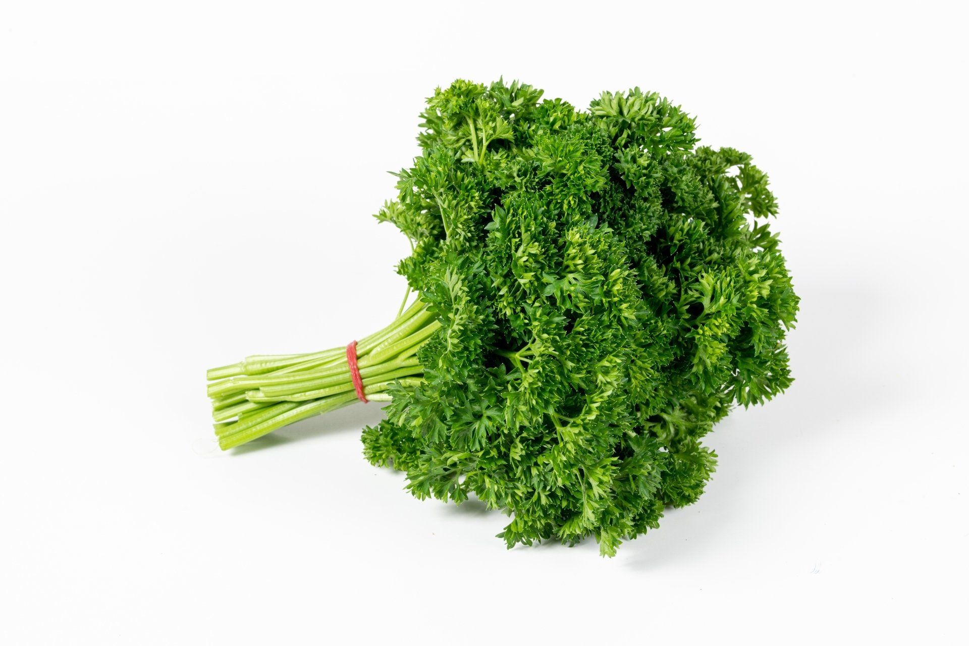 Chervil