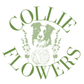 Collie Flowers logo, the face of a border collie, with a cauliflower and 2 flower stems