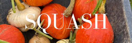 A collection of squash in a wheelbarrow, linking to the squash category in the store