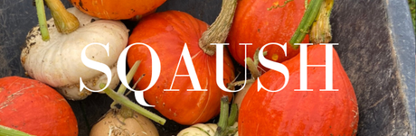 A collection of squash in a wheelbarrow, linking to the squash category in the store