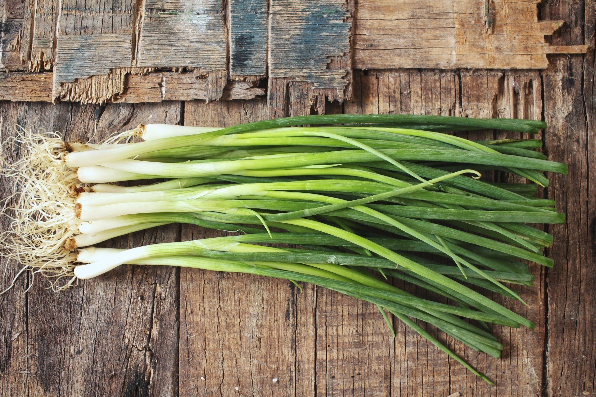 Spring Onions