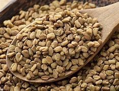 Fenugreek