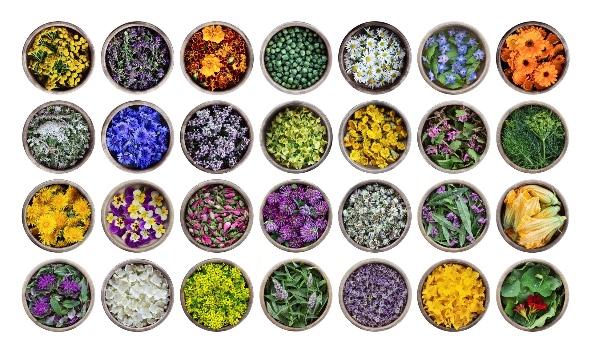 pots of edible flowers