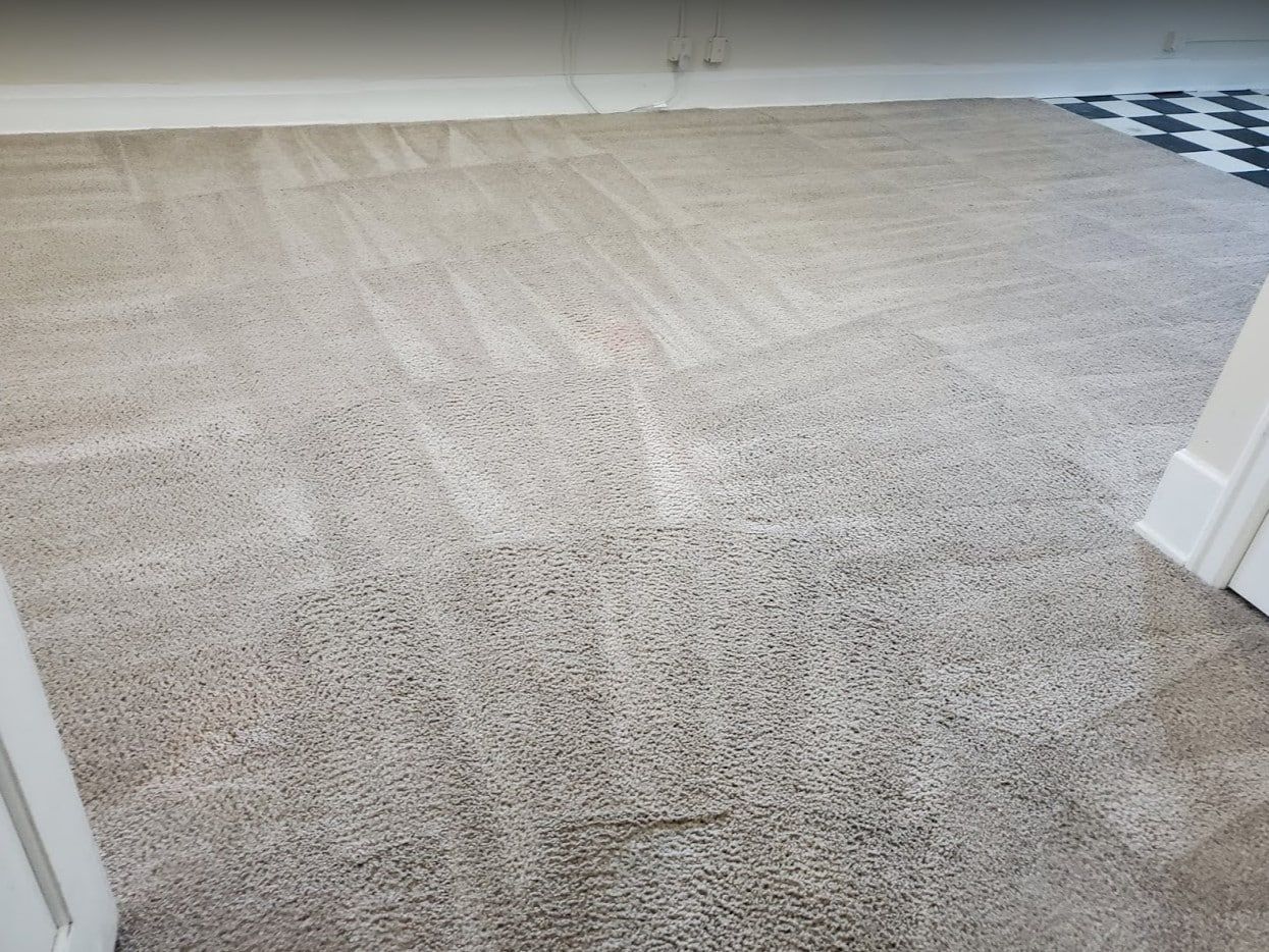 Light gray wall-to-wall carpet featuring a textured, cross-hatched pattern from a recent professional cleaning.