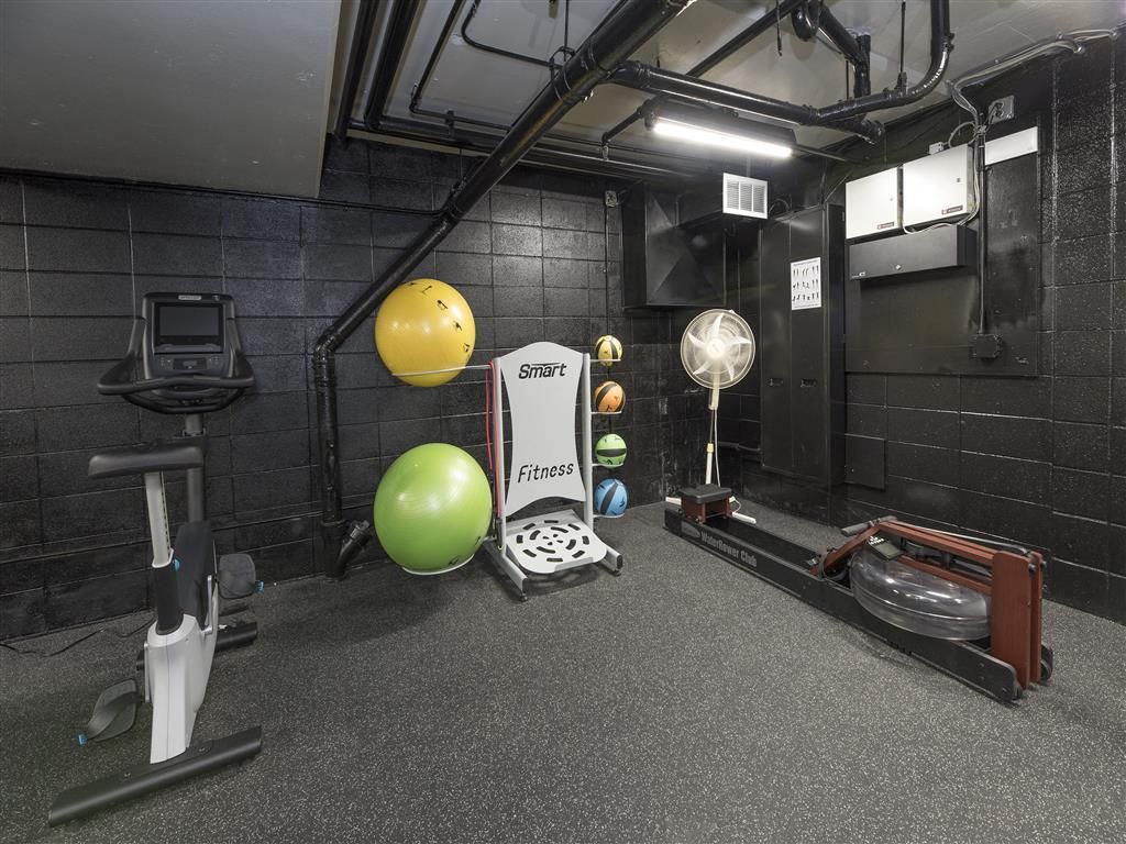 Basement-style gym with a treadmill, stationary bike, weights, and a fan.