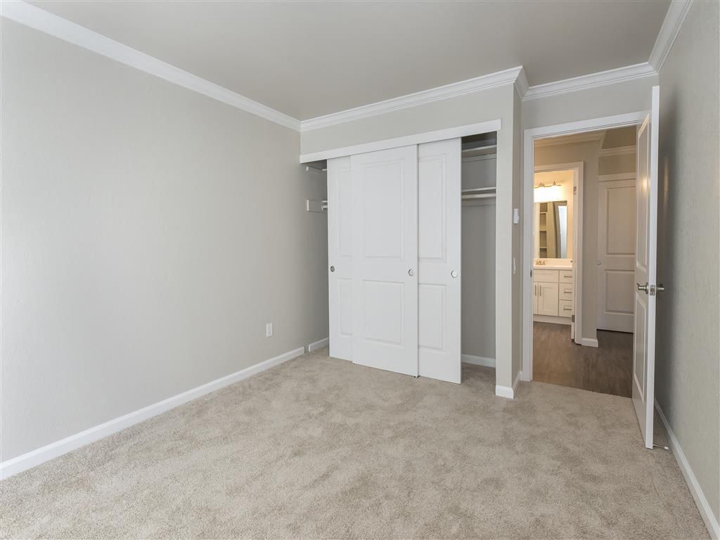 Empty bedroom with beige carpet, white sliding closet doors, and an adjacent doorway to the bathroom.