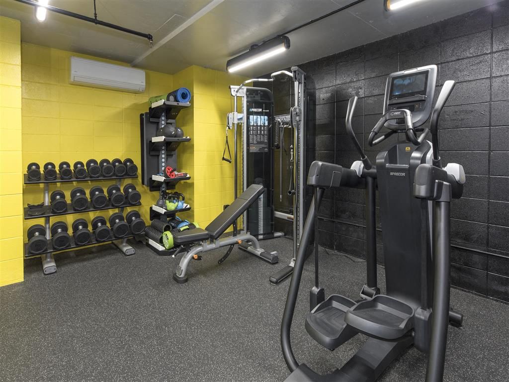 Indoor residential gym with free weights, a bench, and cardio machines.