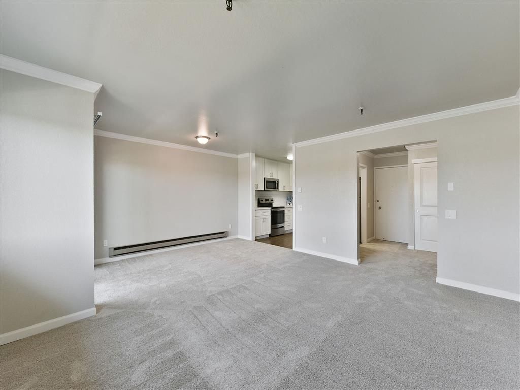 Living room with beige carpet, neutral walls, and an open kitchen.