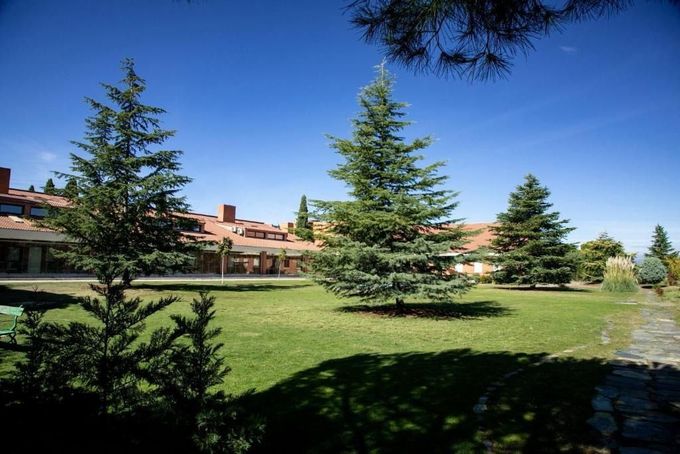Green lawn with pine trees, stone path, and a building with orange-tiled roofs under a blue sky.
