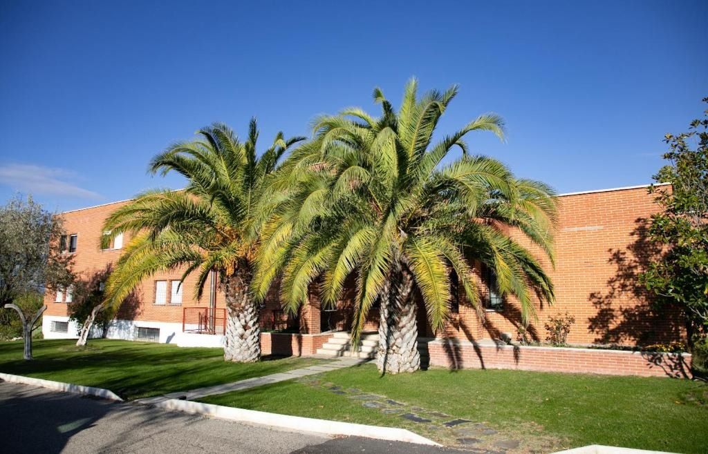 Palm trees in front of a brick building with a blue sky.