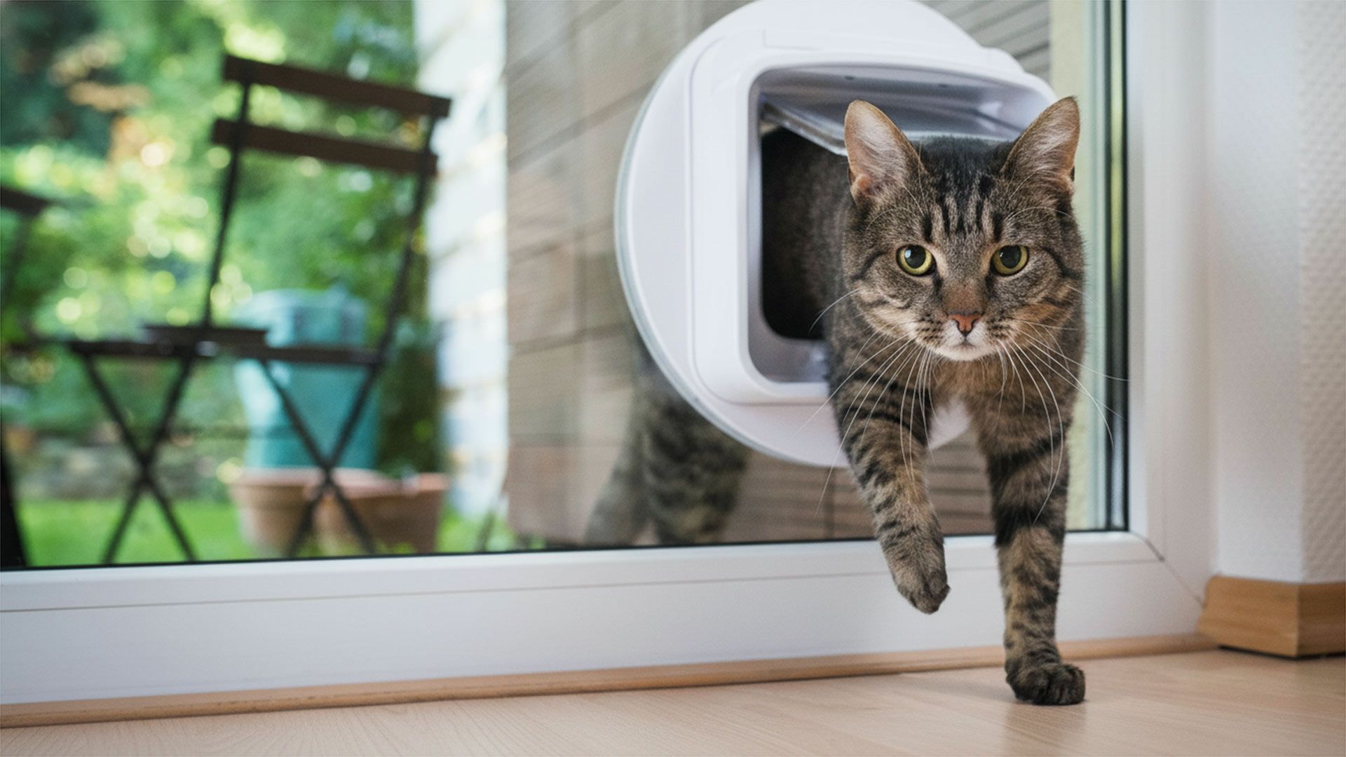 Back Door Pet Flap Installation Service Burnside