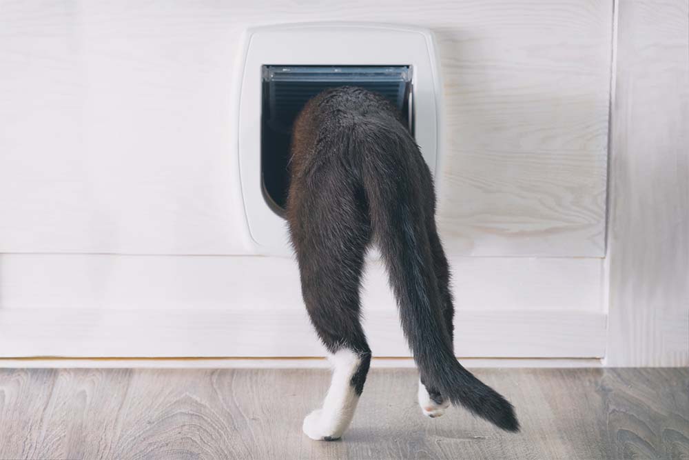 A Cat Using A Pet Door Installed By All Sorts Of Jobs