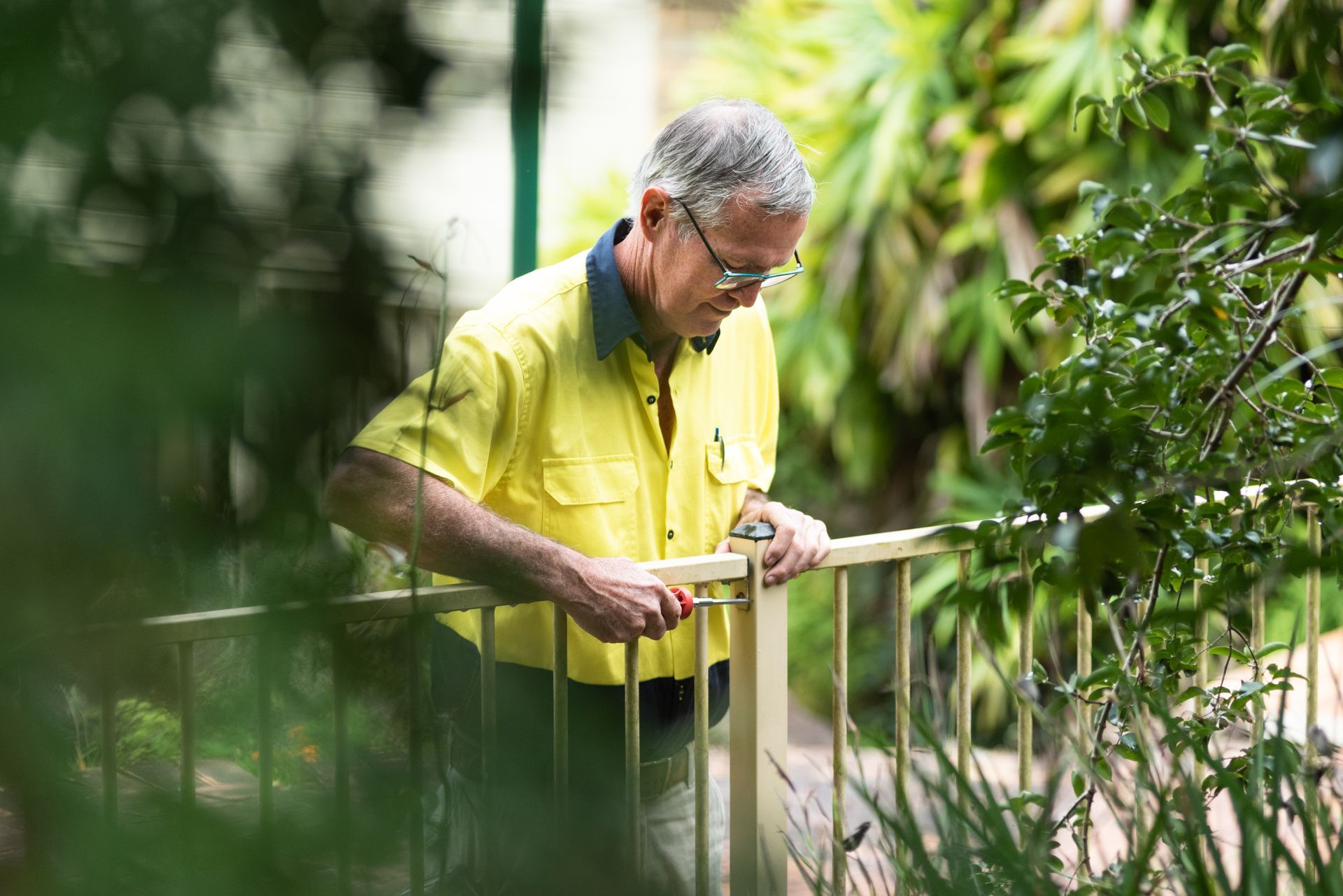 Fence Repairs Handyman Blibli