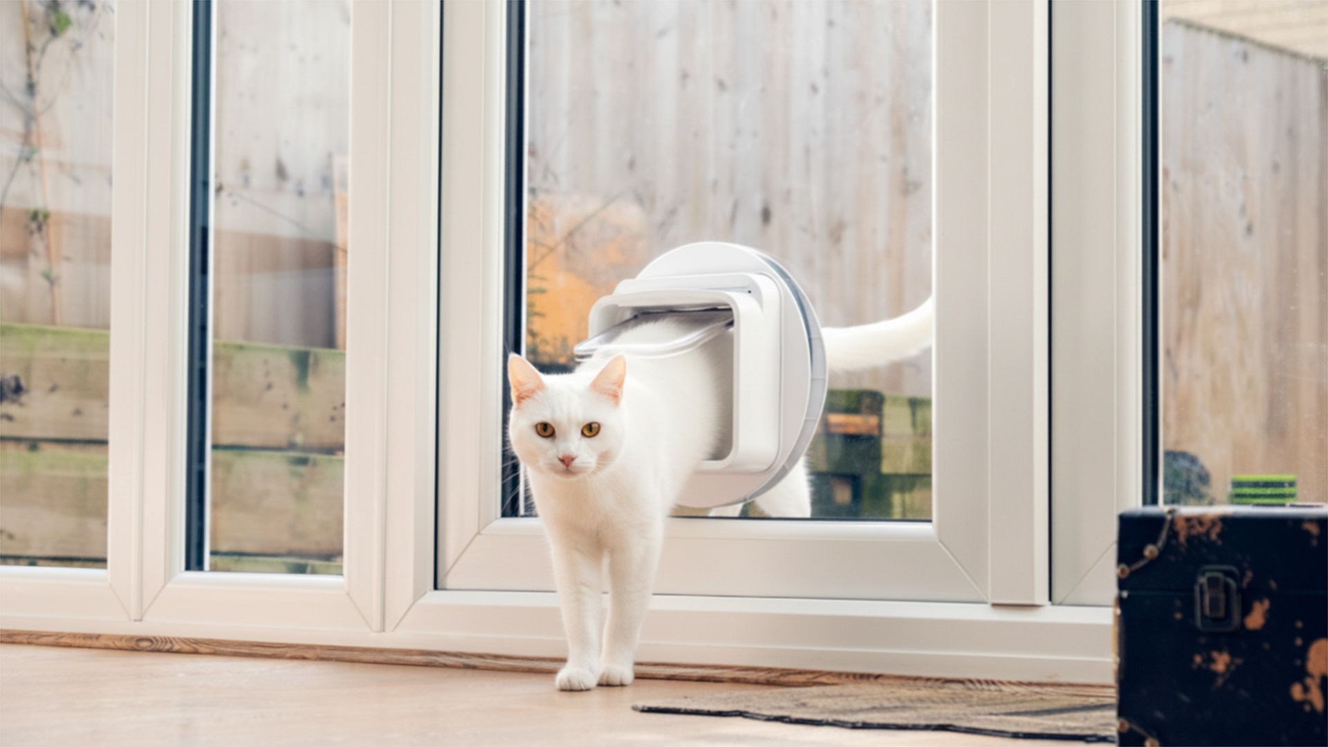 Friendly Pet Door Installation Handyman Nirimba