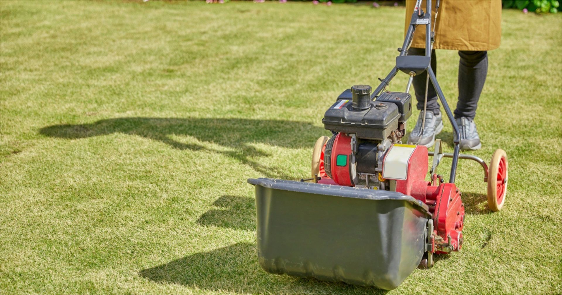 Garden Clean Up Service Moffat Beach
