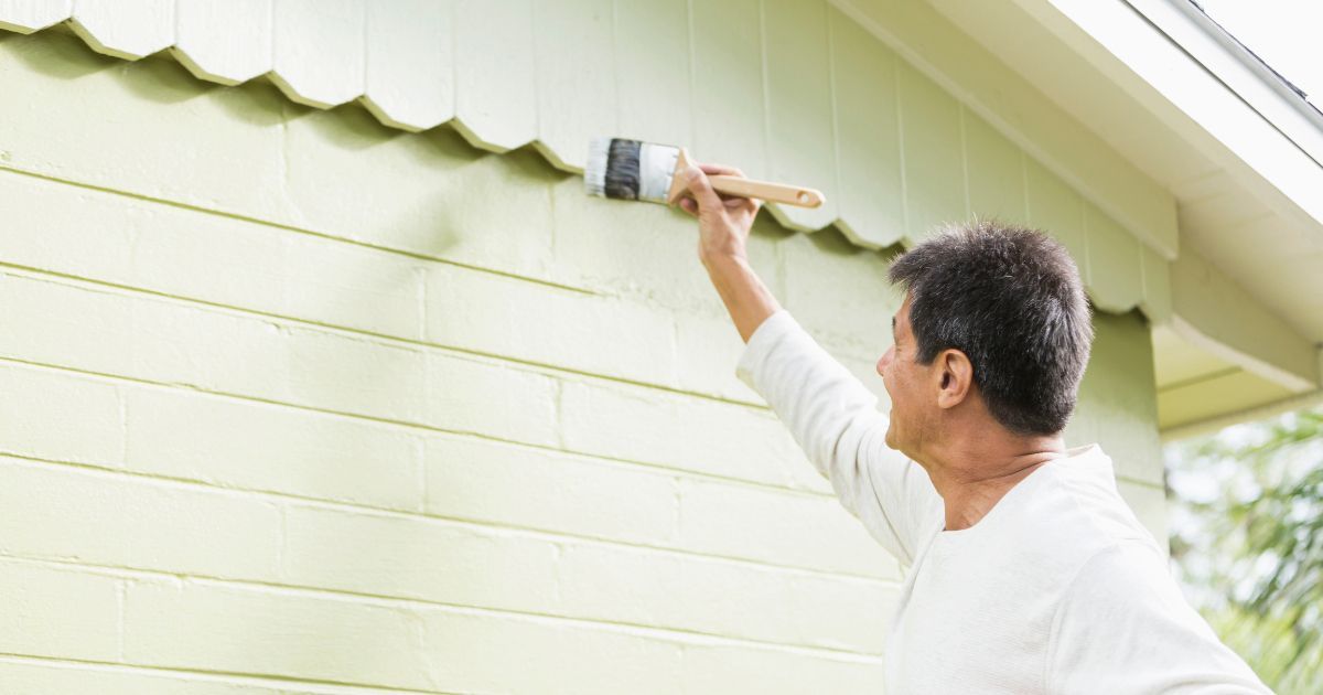 Professional Painting Touch Up Service In Palmwoods