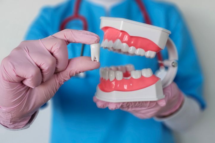 A dentist holding a tooth, next to a dental model, wearing a blue uniform and pink gloves.
