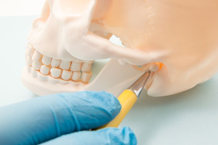 A gloved hand with a dental tool points to the jawbone of a skull model to demonstrate temporomandibular joint (TMJ).