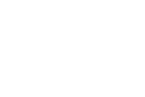 CCS Security Pros, Inc. Logo