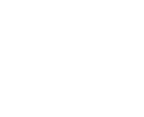 CCS Security Pros, Inc. Logo