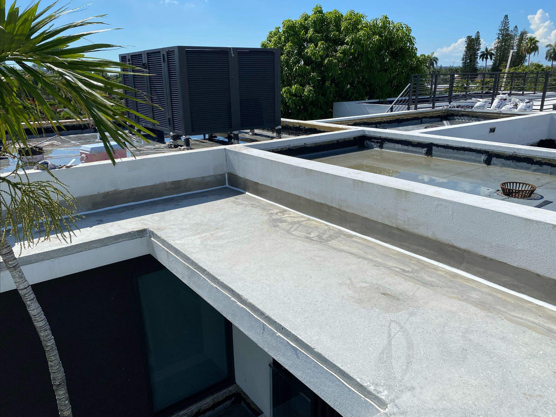 The roof of a building with a palm tree in the background.