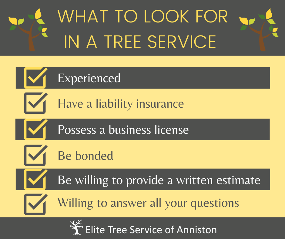 Tree Service Anniston AL