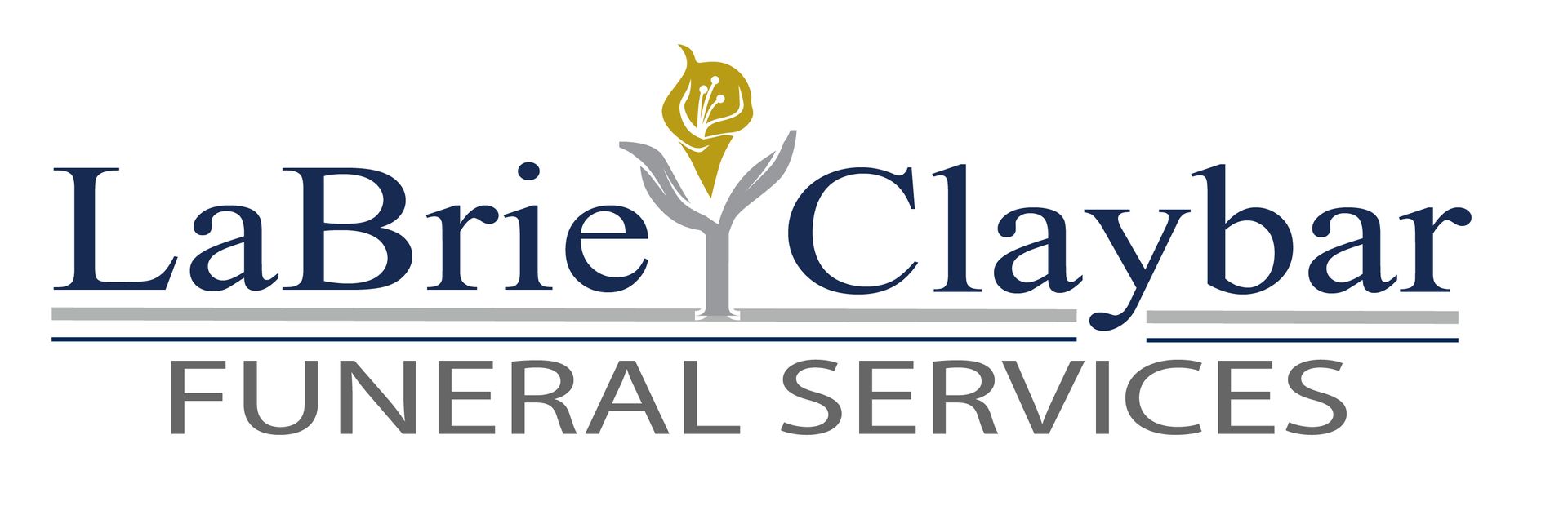 logo-image
