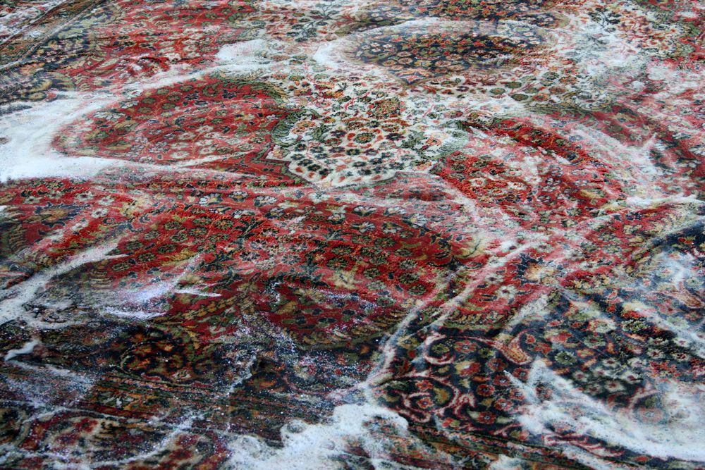 A rug is being cleaned with soap and water.
