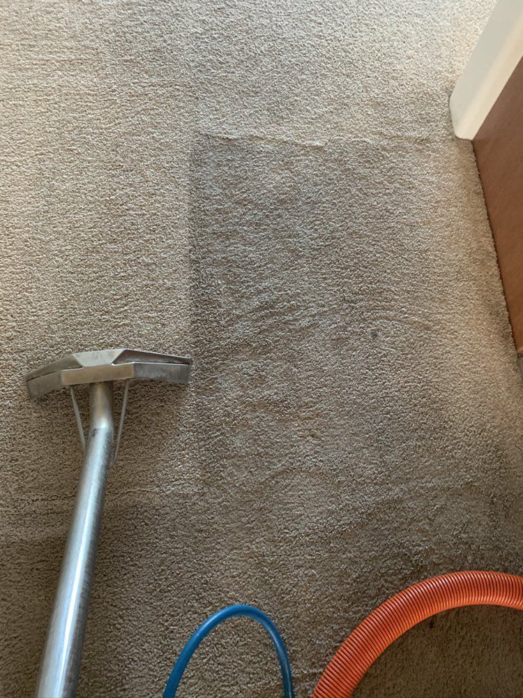 A vacuum cleaner is cleaning a carpet in a room.