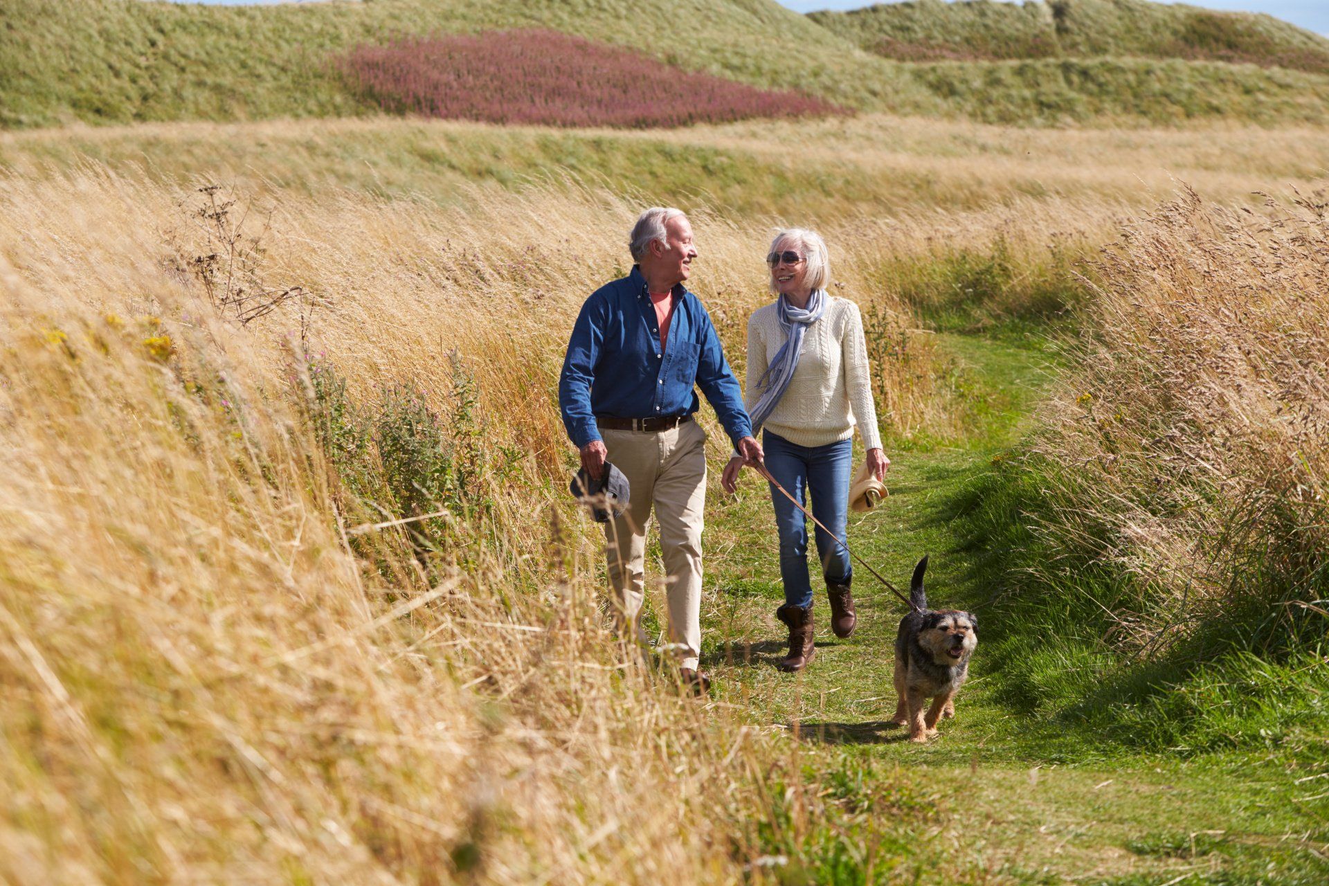 An elderly couple is walking their dog on a path in a field.