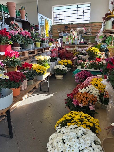 installazione piscina