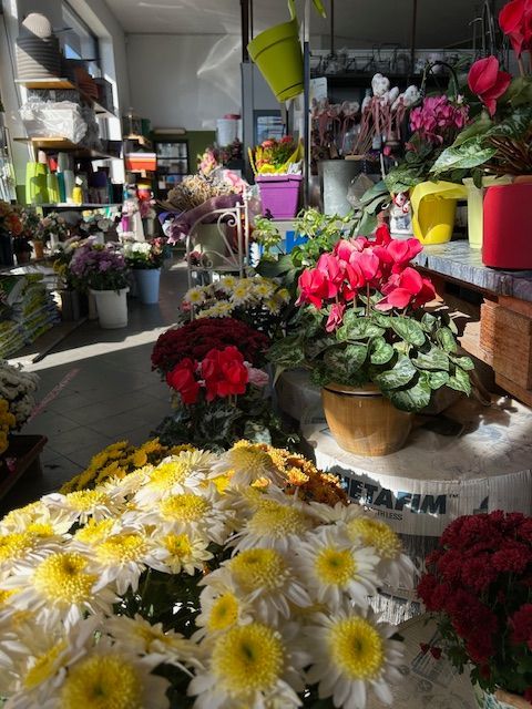 installazione piscina