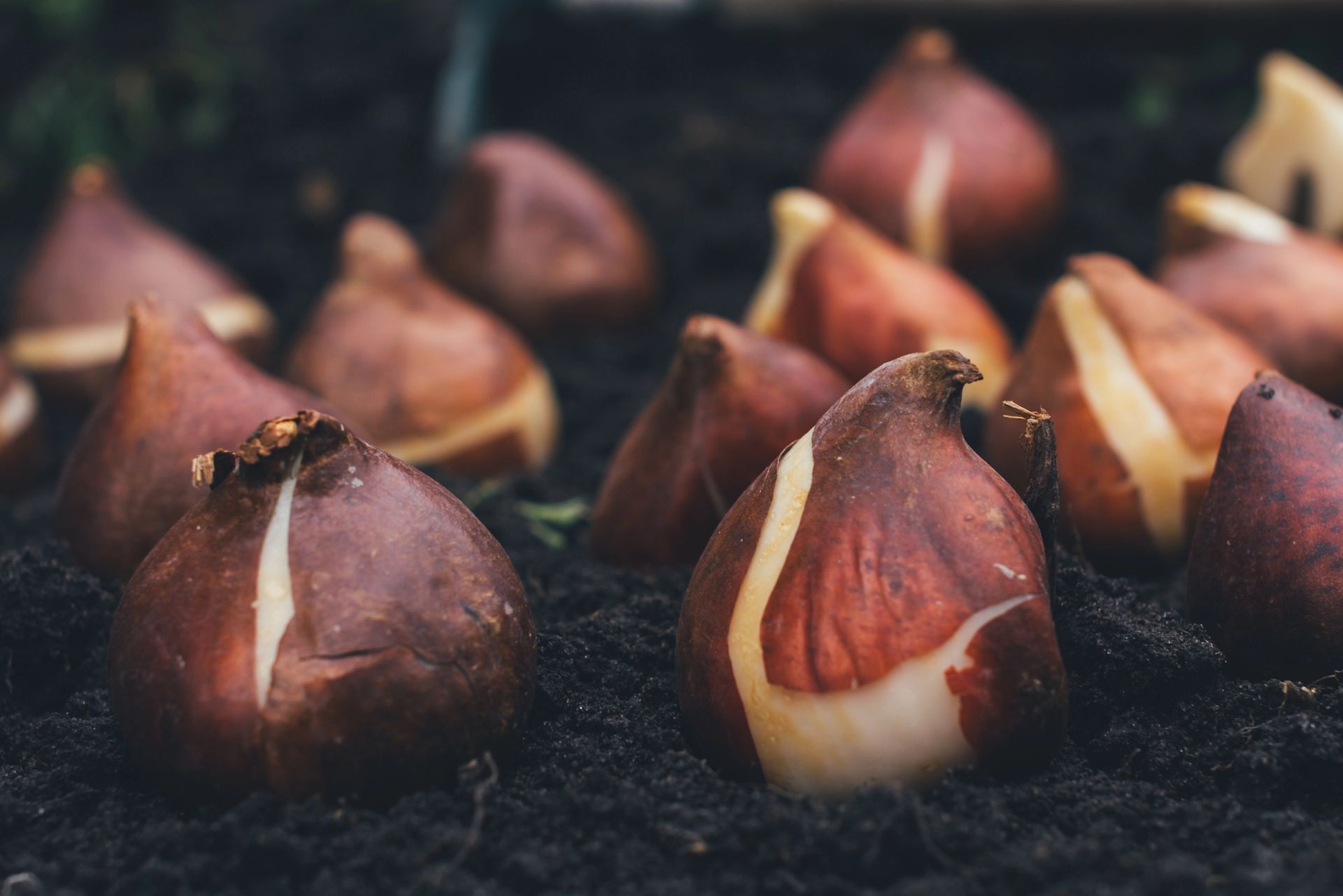 installazione piscina