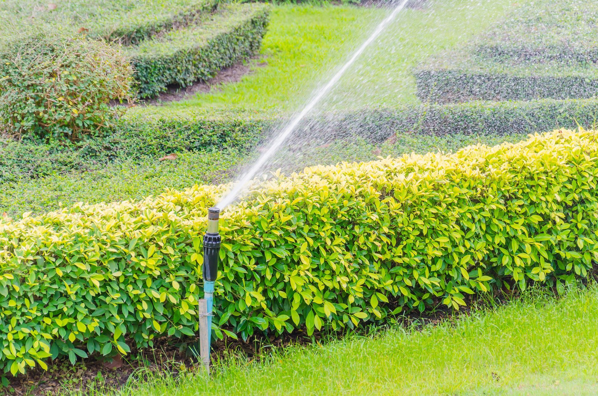 installazione piscina