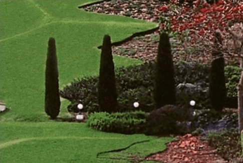 allestimento spazi verdi