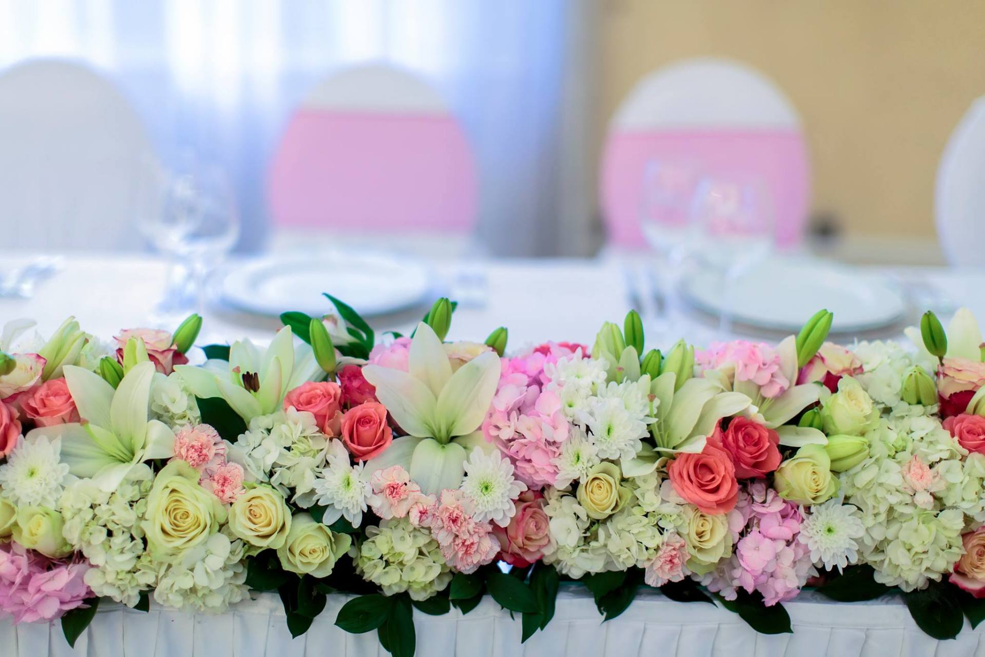 piante da appartamento