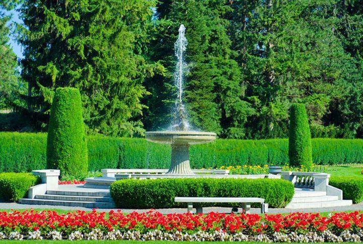 giochi d'acqua per giardino