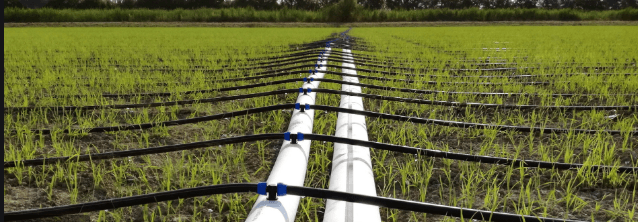 irrigazione per terreni