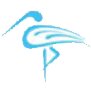 bird icon