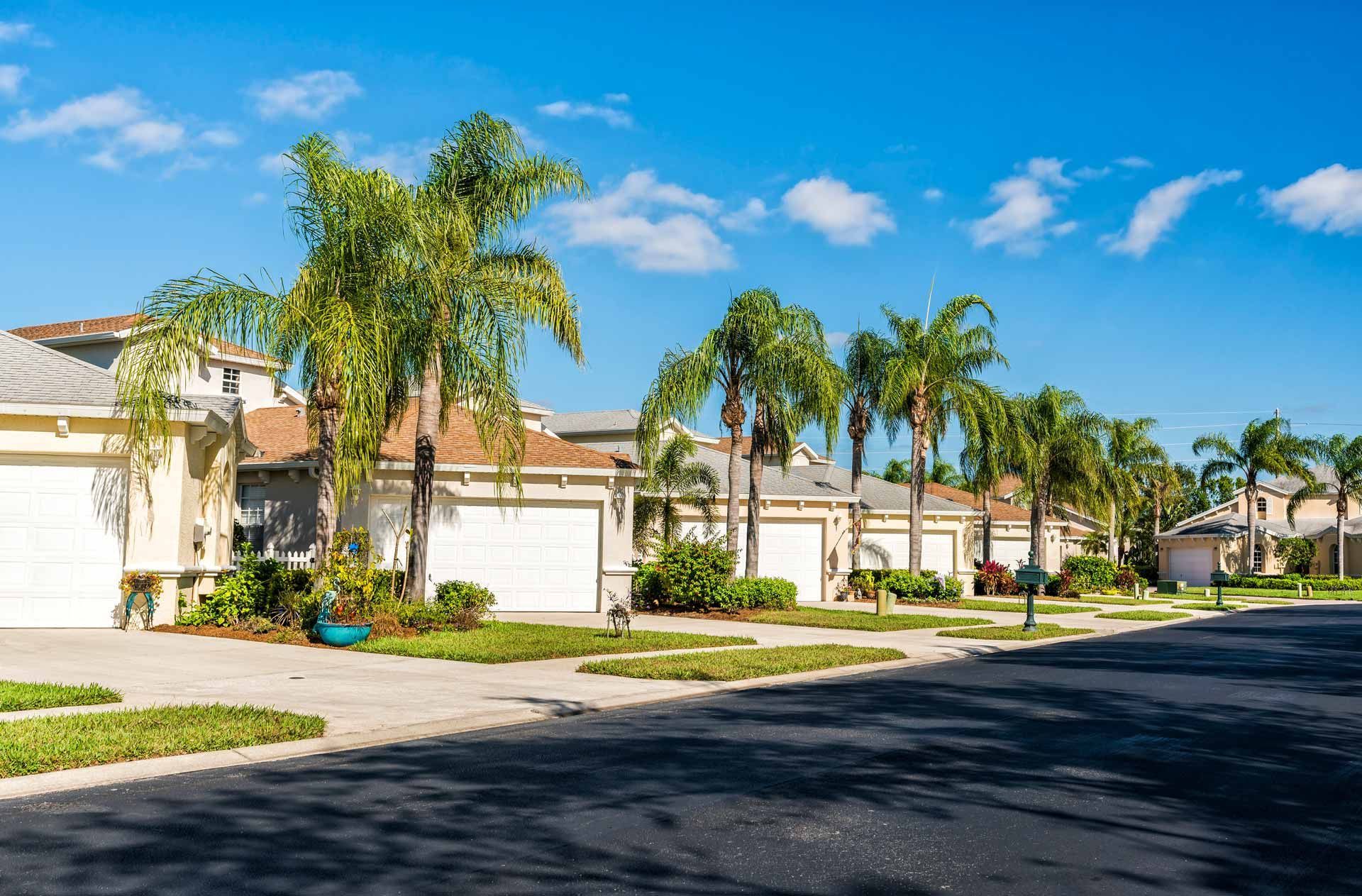 Row of houses with white garage doors and palm trees on a sunny street.