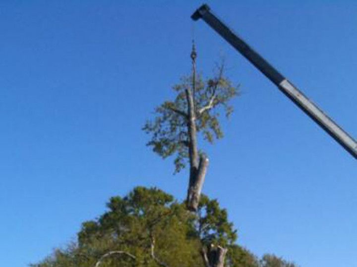 Woman in straw hat smiles, holding wine glass near a lake.