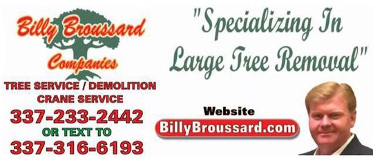 Billy Broussard Companies tree service ad with phone numbers, website, and &ldquo;Specializing in Large Tree Removal&rdquo; text