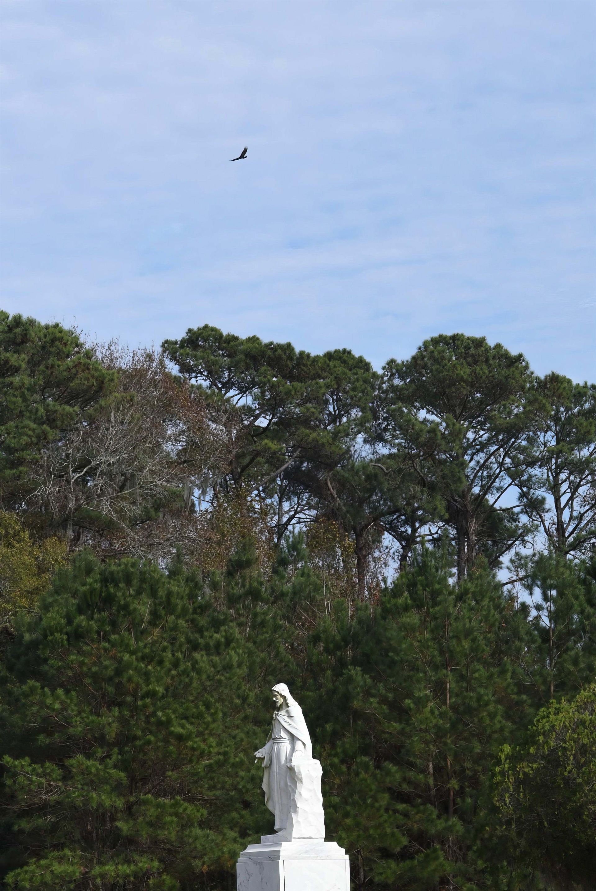 A bird is flying over a statue in the middle of a forest